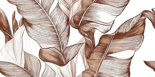 Fototapeta Botanical brown banana leaf line art wallpaper background vector. Luxury natural hand drawn foliage pattern design in minimalist linear contour simple style. Design fabric, cover, banner, invitation
