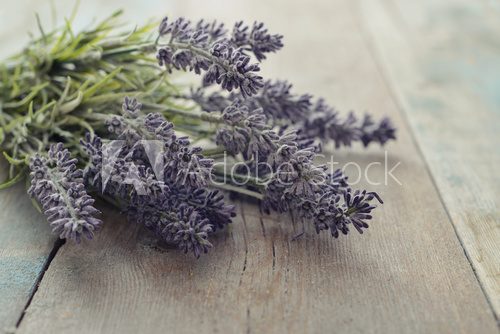 Fototapeta Bouquet lavender