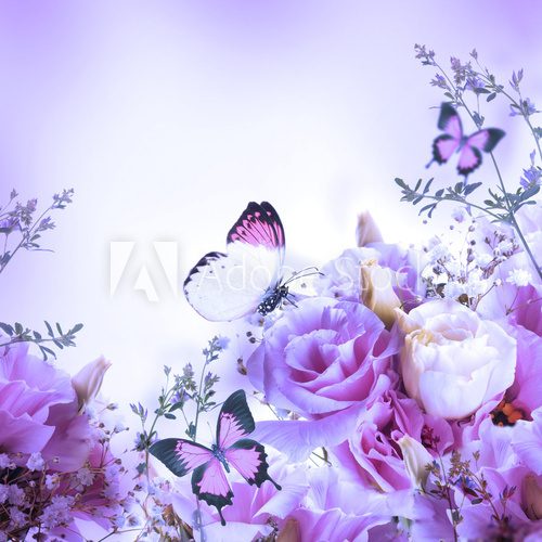 Fototapeta Bouquet of pink roses and butterfly, floral background