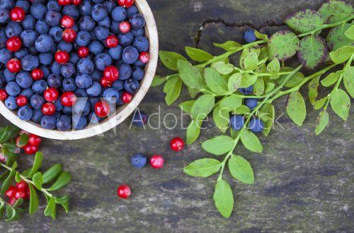Fototapeta Bowl of blueberries and cranberries