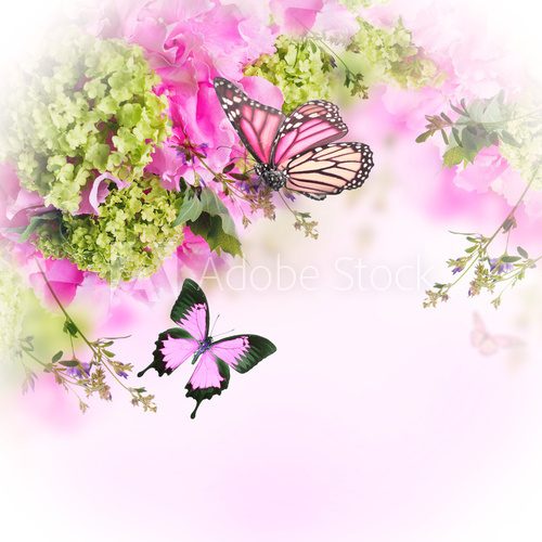 Fototapeta Bright spring chrysanthemum, floral background