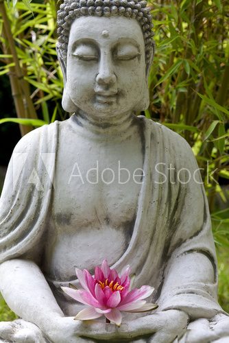 Fototapeta Buddha hands holding flower, close up