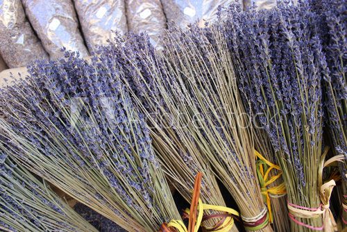 Fototapeta Bunches of dried lavender flowers for sale in Aix En Provence
