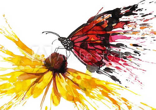 Fototapeta Butterfly on the flower