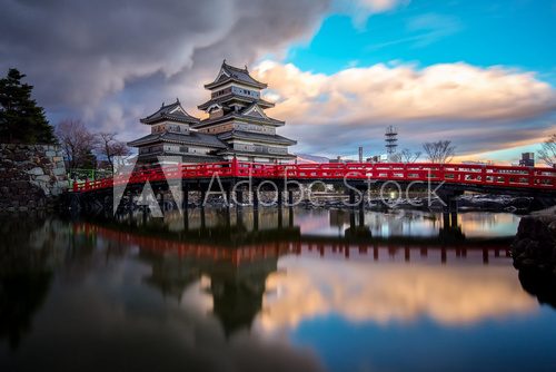 Fototapeta castle and cherry blossoms