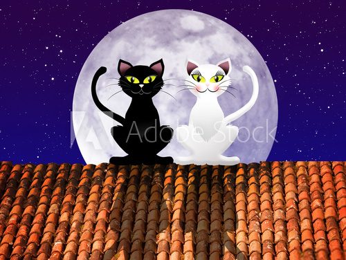 Fototapeta Cats on roof