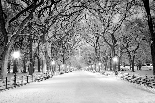 Fototapeta Central Park, NY covered in snow at dawn
