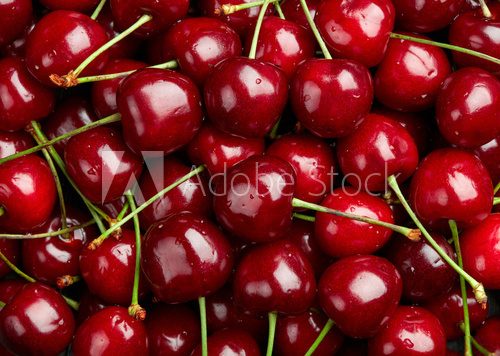 Fototapeta Cherry Background.  Sweet organic cherries