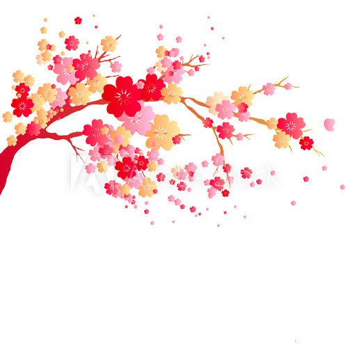 Fototapeta cherry branch