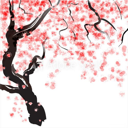 Fototapeta Cherry tree blossom