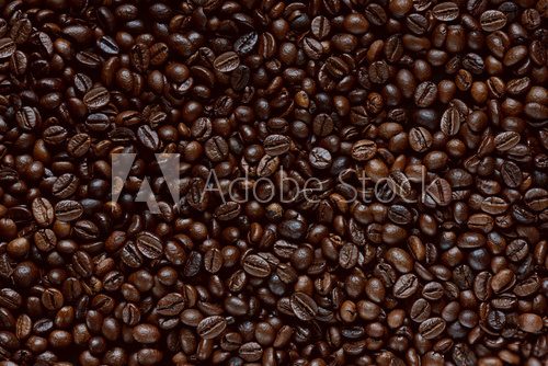 Fototapeta chicchi di caffÃ¨ texture