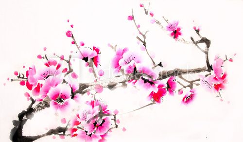 Fototapeta Chinese watercolor cherry painting
