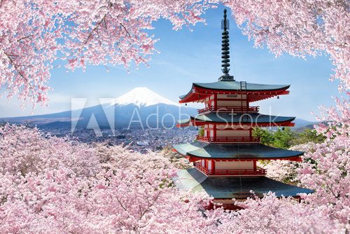 Fototapeta Chureito Pagoda in Fujiyoshida in spring