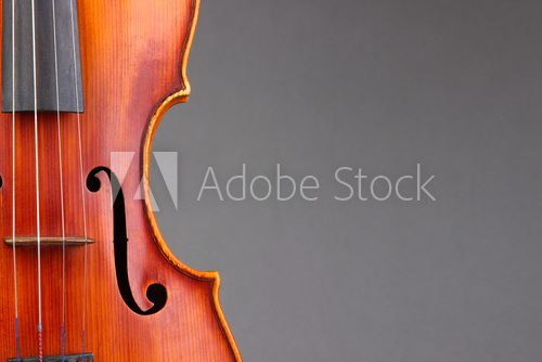 Fototapeta Classical violin on grey background