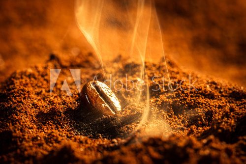 Fototapeta Closeup one burned coffee beans
