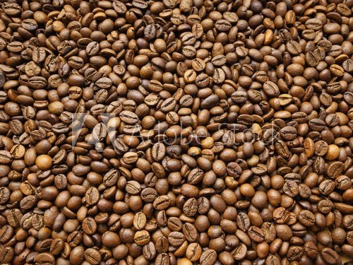 Fototapeta Coffee beans background. Roasted coffee beans for pattern and background.
