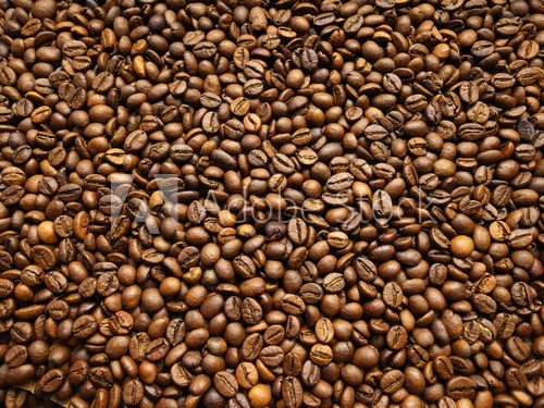 Fototapeta Coffee beans background