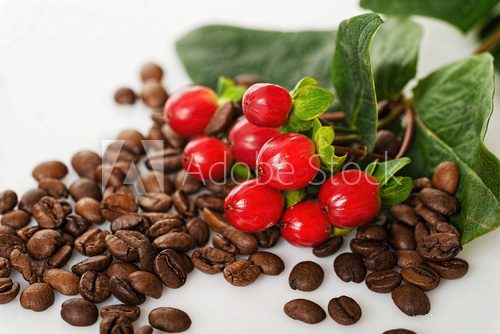 Fototapeta Coffee berries and beans