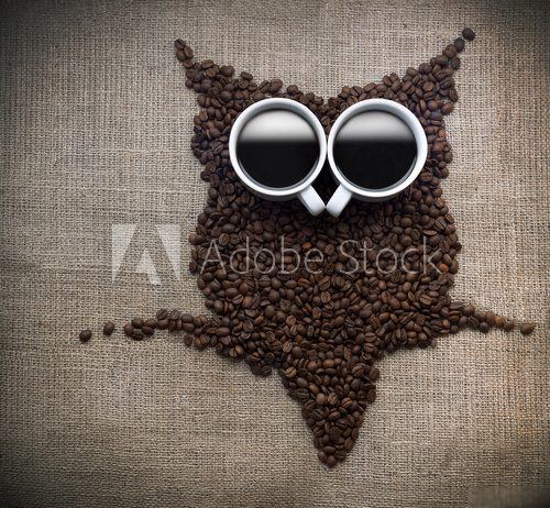 Fototapeta Coffee core owl