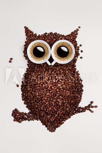Fototapeta Coffee owl.