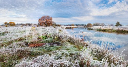 Fototapeta Cold autumn morning in Belarus. Scenic autumn landscape oak grove with yellowed leaves near the river and frost on the grass. Panoramic views of the river and lonely yellowed oak 