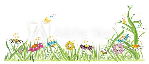 Fototapeta Colorful daisy field in spring time vector illustration