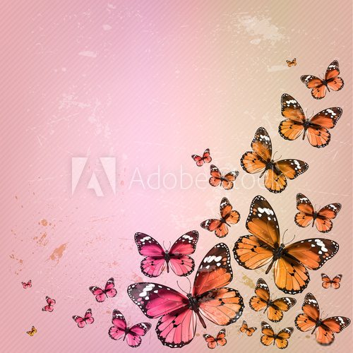 Fototapeta Colorful vintage summer background with butterfly. Grunge paper