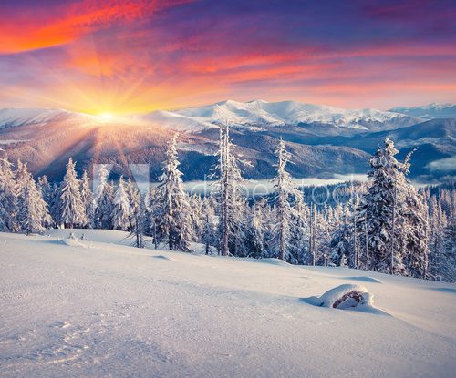 Fototapeta Colorful winter sunrise in the mountains.