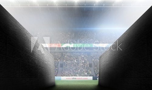 Fototapeta Composite image of arena tunnel