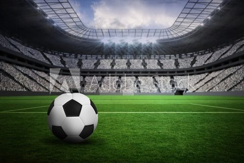 Fototapeta Composite image of black and white leather football