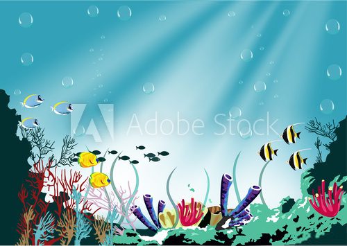 Fototapeta coral reef and tropical fish in sunlight