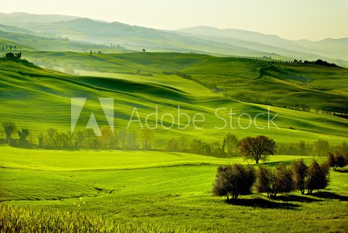 Fototapeta Countryside, San QuiricoÂ´Orcia , Tuscany, Italy