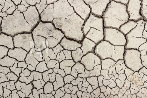 Fototapeta Crack soil on dry season, Global worming effect.