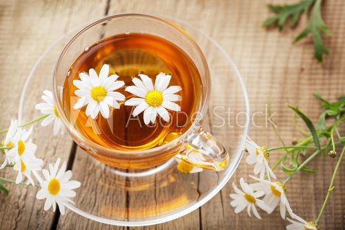 Fototapeta cup of herbal tea with chamomile flowers