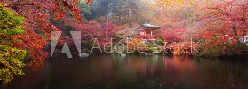 Fototapeta Daigo-ji temple in autumn