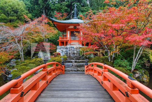 Fototapeta Daigoji Temple in Kyoto