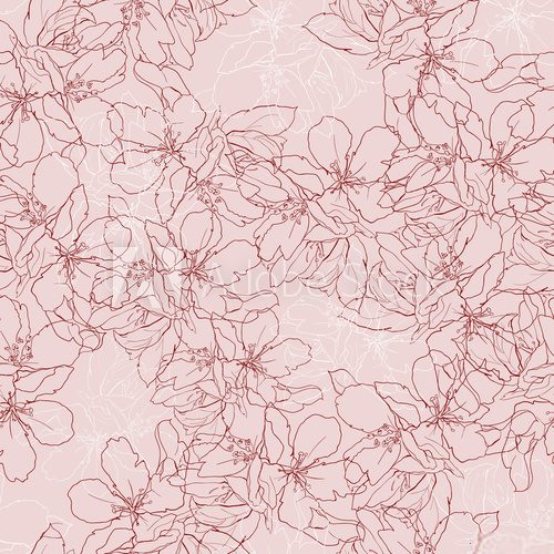 Fototapeta Delicate seamless print with apple tree flower.