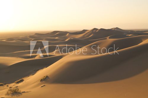 Fototapeta Desert