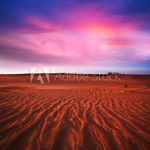 Fototapeta Desert