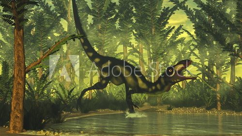 Fototapeta Dilong dinosaur - 3D render