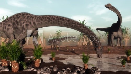 Fototapeta Diplodocus dinosaurs herd going to drink - 3D render