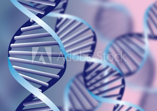 Fototapeta DNA helix, biochemical  background with defocused strands, eps10