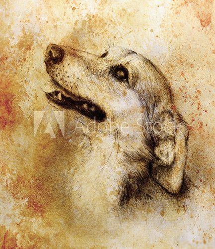 Fototapeta Dog pencil drawing on old paper, vintage paper and old structure with color spots.