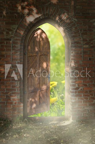 Fototapeta Door to new world