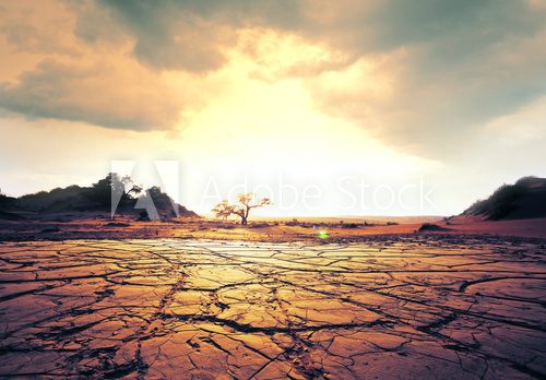 Fototapeta Drought land