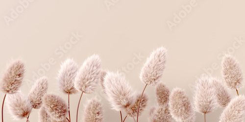 Fototapeta Dry fluffy flowers beige pastel color boho background 3d rendering. Abstract Pampas grass isolated - calm floral wallpaper.