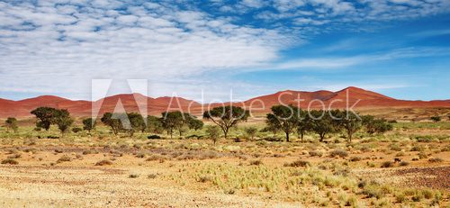 Fototapeta Dunes of Namib Desert, Sossufley, Namibia