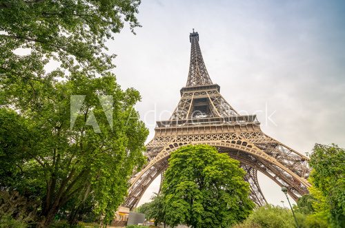 Fototapeta Eiffel Tower between gorgeous vegetation of Paris