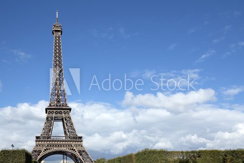Fototapeta Eiffel Tower distant landscape view, copy space