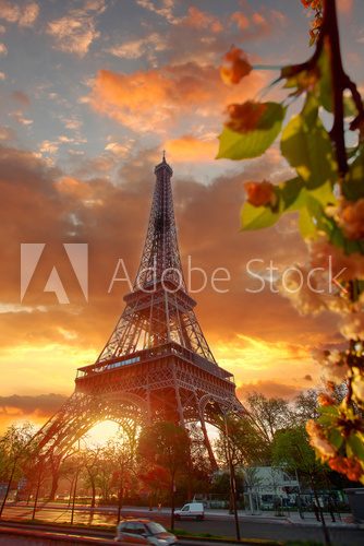 Fototapeta Eiffel Tower during beautiful  spring morning in Paris, France